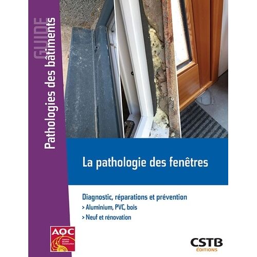 La Pathologie Des Fenêtres - Diagnostic, Réparations Et Prévention
