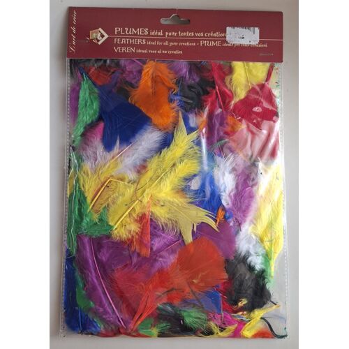 Plumes Décoratives Multicolores - Pour Tout Type De Créations