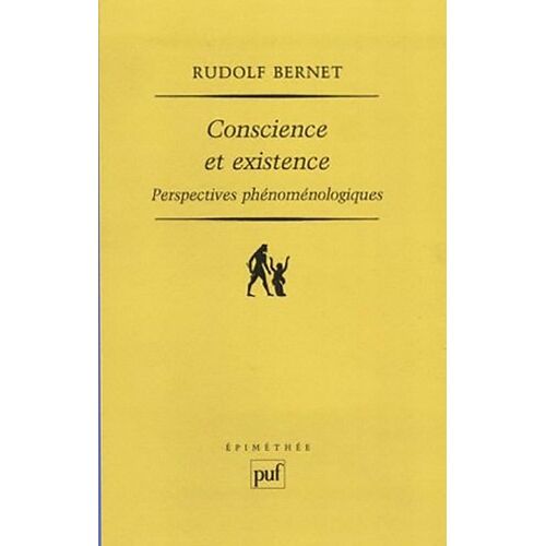 Conscience Et Existence - Perspectives Phénoménologiques