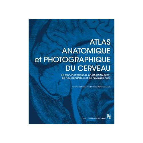 Atlas Anatomique Et Photographique Du Cerveau