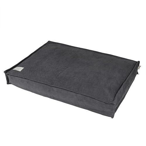 Coussin Pour Chien D&d Home Steve