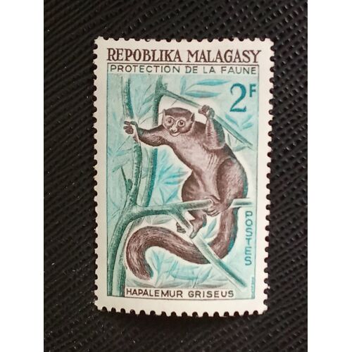 Timbre Madagascar Y T 357 Hapalémur Gris (Hapalemur Griseus) 1961 (090610 )