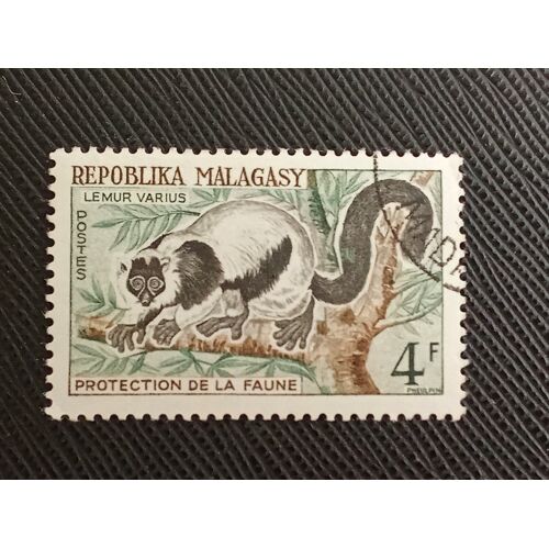 Timbre Madagascar Y T 358 Lémur À Queue Noire Et Blanche (Varecia Variegata) 1961 (010609 )