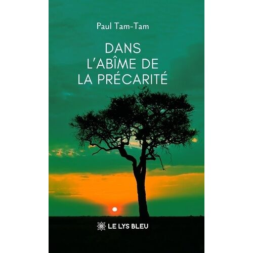 Dans L'abîme De La Précarité