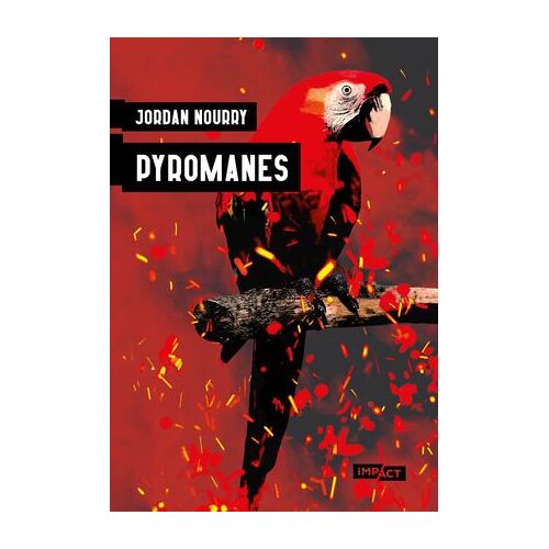 Pyromanes - Numerique