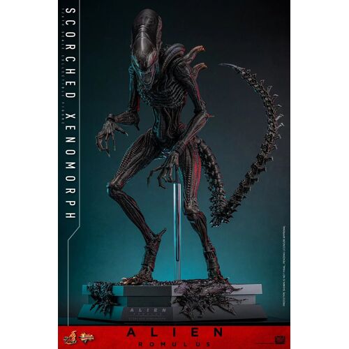 Figurine Hot Toys | Alien | Alien : Romulus Figurine 1/6 Scorched Xenomorph 44cm