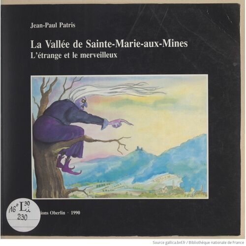 La Vallée De Sainte Marie Aux Mines [Broché] Jean-Paul Patris Et R. Piela