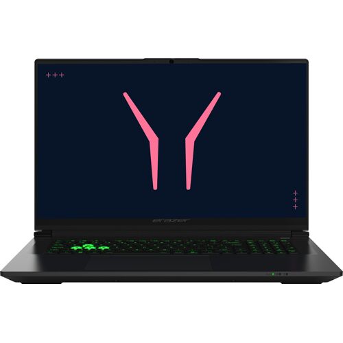 ERAZER Defender 17 P10 (MD600080) Intel Core i9 i9-14900HX Ordinateur portable 17.3" Quad HD 32 Go DDR5-SDRAM 1 To SSD NVIDIA GeForce RTX 5070 Wi-Fi 6E (802.11ax) Windows 11 Home Noir