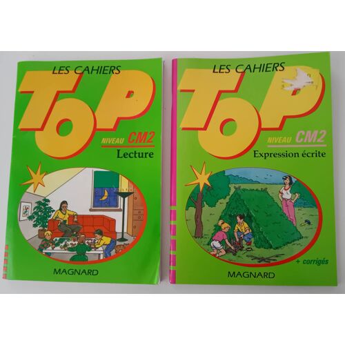 Les Cahiers Top Niveau Cm2 Lecture + Expression Écrite