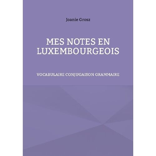 Mes Notes En Luxembourgeois - Vocabulaire, Conjugaison Et Grammaire
