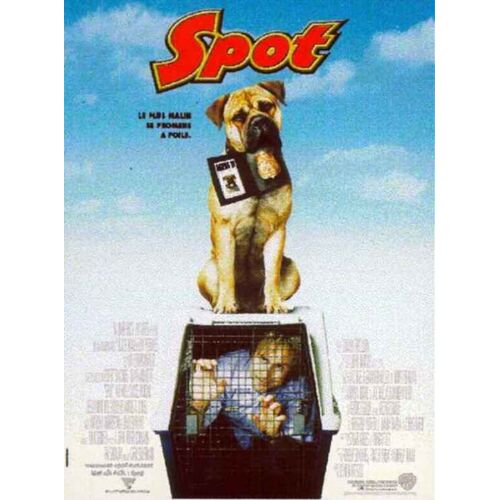 Spot - Affiche Originale De Cinéma - Format 40x60 Cm - Un Film De John Whitesell Avec David Arquette, Michael Clarke Duncan, Leslie Bibb, Joe Viterelli, Angus T. Jones, Anthony Anderson - Année 2001