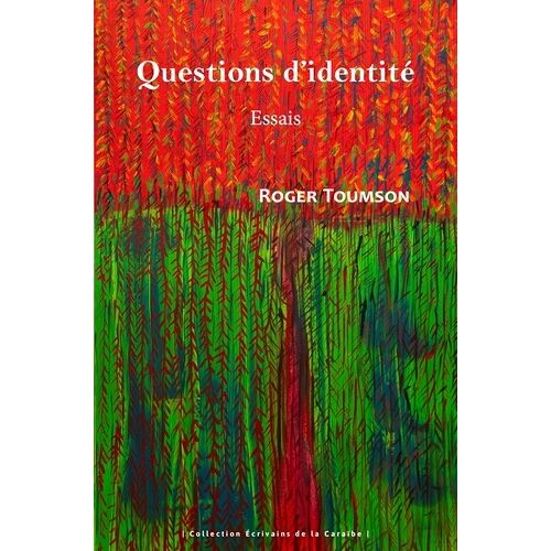 Questions D'identité - Essais