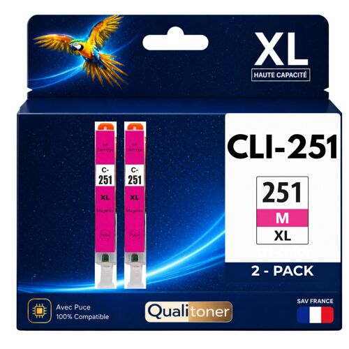 Pack 2 Cartouche CLI-251XL compatible pour Canon 250 251 Magenta Haute capacité avec puce Rendement 12 ml