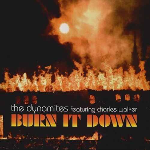 Burn It Down [12 Inch Analog]