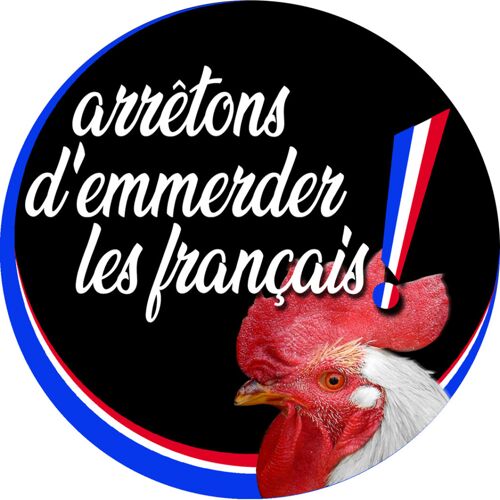 Arrêtons D'emmerder Les Français - 15cm - Sticker/Autocollant