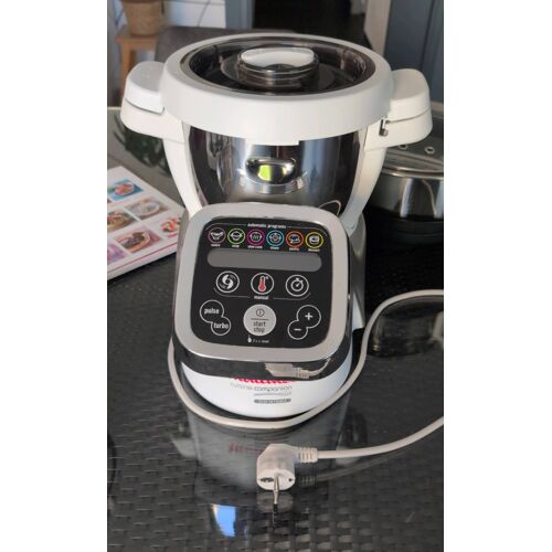 Companion Moulinex