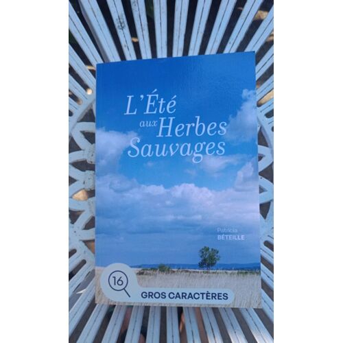 L Été Aux Herbes Sauvages Grands Caracteres