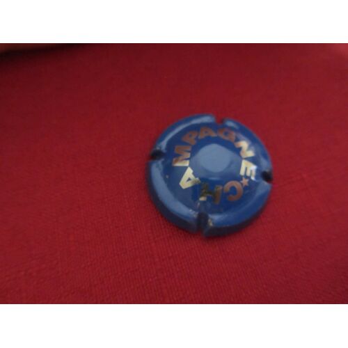 Capsule De Champagne "Bleu Ecriture Argenté Petite Étoile"