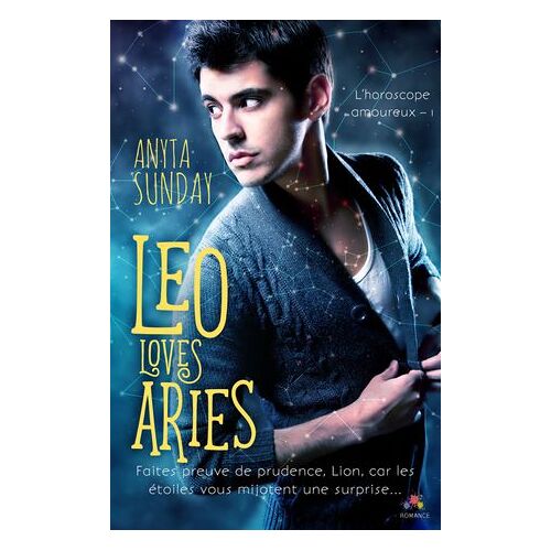 Leo Loves Aries