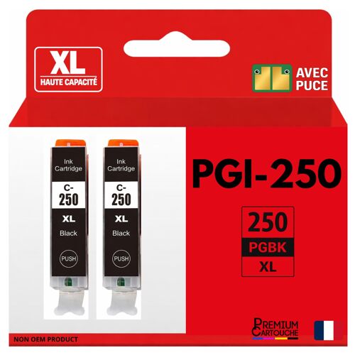 Pack 2 Cartouche CLI-251XL compatible pour Canon 250 251 Noir Haute capacité avec puce Rendement 12 ml