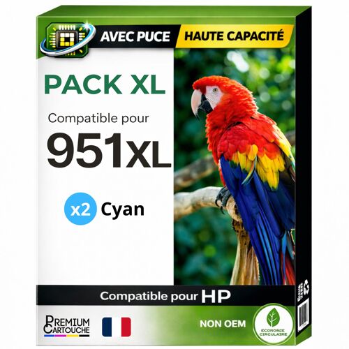 Pack 2 Cartouche encre 951XL CN046AE CN050AE compatible pour HP 251DW 276DW 8100 8600 8610 8620 Cyan Haute capacité avec puce 26 ml