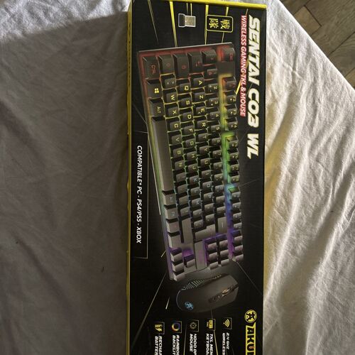 Clavier et souris gamer