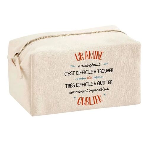 Trousse Multifonction Un Albert Aussi Génial ¿ École, Maquillage, Bureau ¿ Trousse Scolaire ¿ Idée Cadeau Collègue Noël