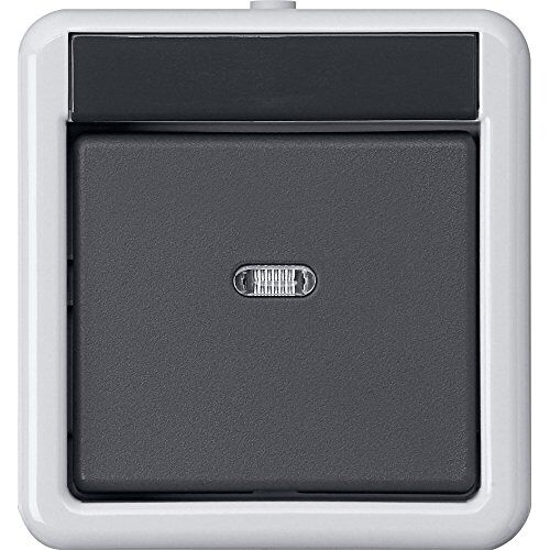 Gira Interrupteur KNX 1 voie 2 points Montage en saillie Gris - 515230
