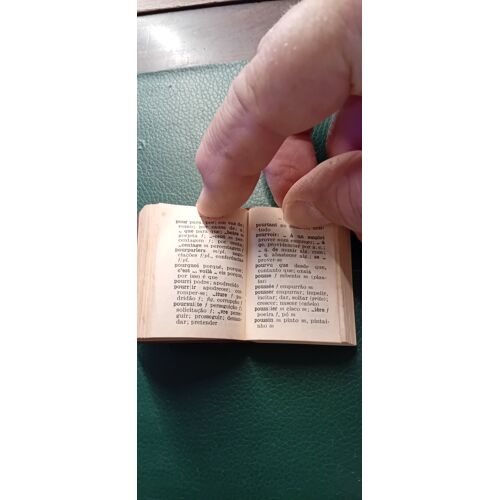 Dictionnaires Lilliput Larousse Danois-Français Et Français-Portugais