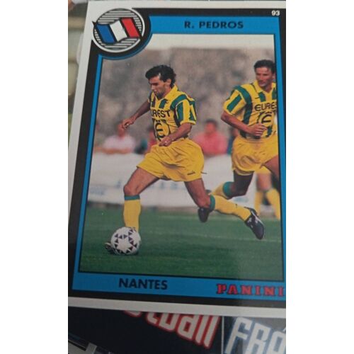 Image Panini R Pedros