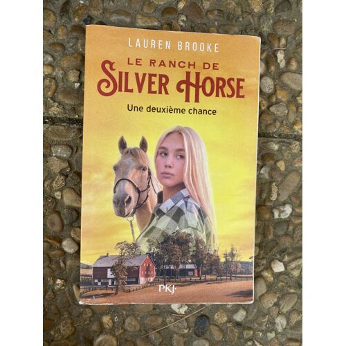 Roman Le Ranch De Silver Horse 