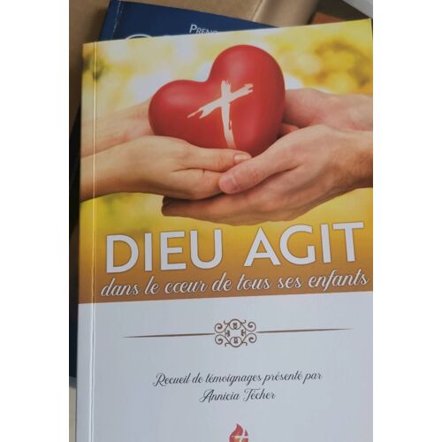 Dieu Agit Dans Le Coeur De Tous Ses Enfants - Recueil De Témoignages
