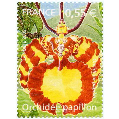 France 2005, Très Beau Timbre Neuf** Luxe Yvert 3765, Série Flore Exotique, L'orchidée Papillon.