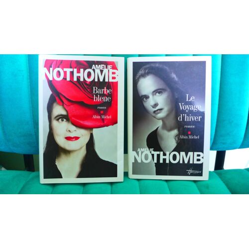 Lot Duo Amélie Nothomb Livres Brochés Comme Neuf "Barbe Bleue" Et "Le Voyage D'Hiver" Envoi Soigné Garanti