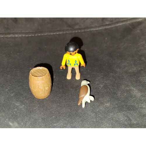 Lot playmobil Améridien + oiseau faucon