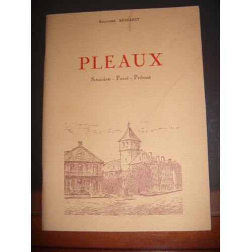 Cantal: Pleaux: Situation - Passé - Présent, V 1980, Be