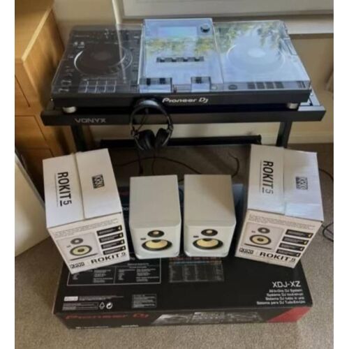 Pioneer professionnel
