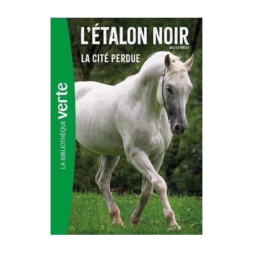 L'etalon Noir (Nouvelle Édition), Tome 20 - La Cité Perdue