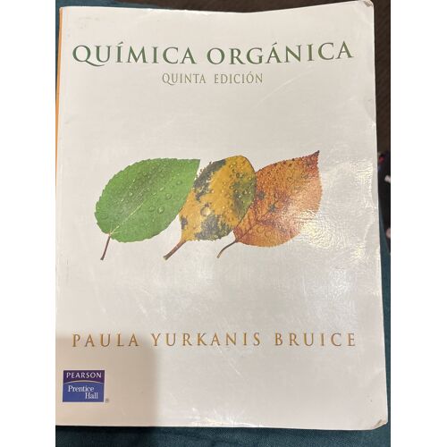 Qui Mica Organisa Quinta Édition Paula Yuka Is Bruine