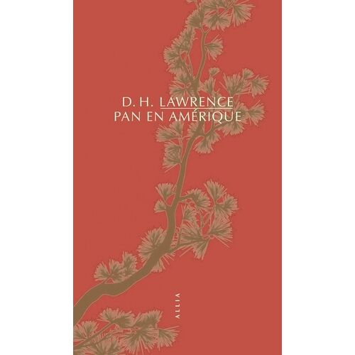 Pan En Amérique