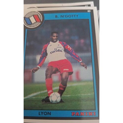 Image Panini B N'Gotty