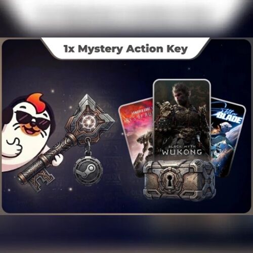 1x Action Mystery Steam Key