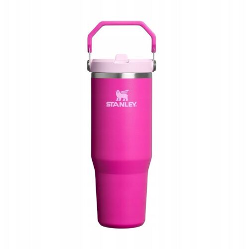 Stanley The Iceflow Flip Straw 2.0 Tumbler | 0,9l Unisex Divers Pourpre Taille One Size Accessoires