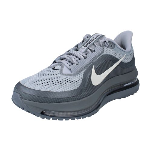 Chaussures Nike Pegasus Premium Gris/argent