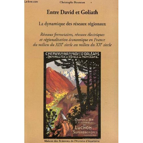 Entre David Et Goliath - La Dynamique Des Réseaux Régionaux - Réseaux Ferroviaires, Réseaux Électriques Et Régionalisation Économique En France Du Milieu Du Xixe Siècle Au Milieu Du Xxe Siècle.