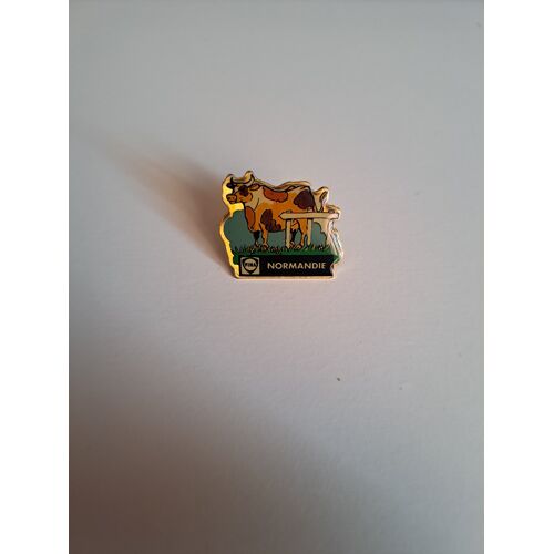 Pin'S Région Normandie Fina