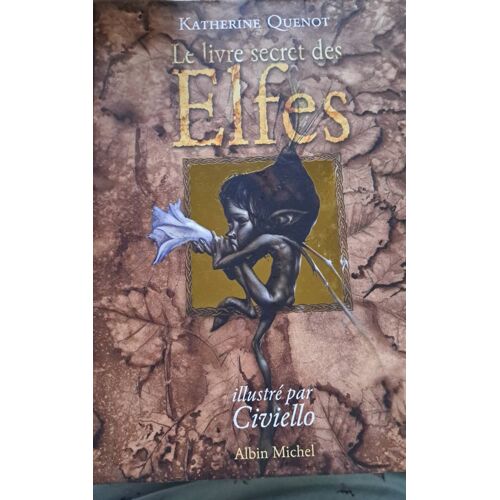 Le Livre Secret Des Elfes De Katherine Quenot