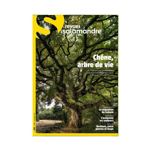 Revue Salamandre Numéro 266 Novembre 2021