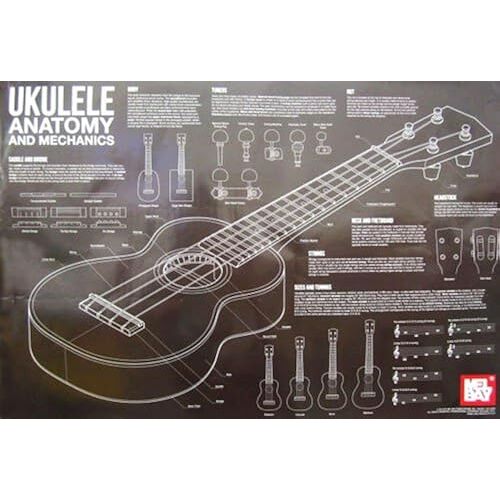 Ukulele Anatomy And Mechanics Wall Chart / Chart