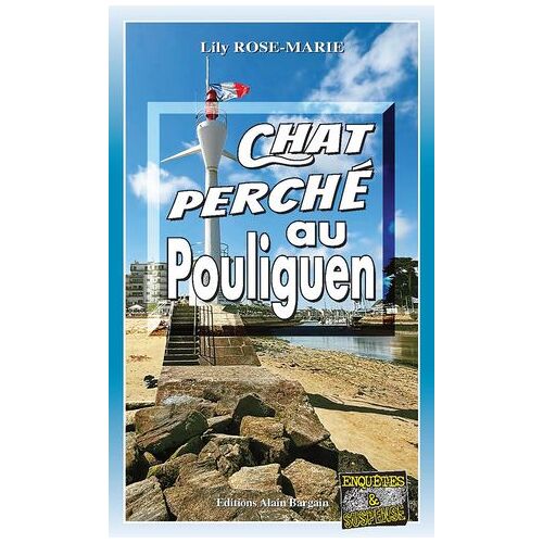 Chat Perché Au Pouliguen